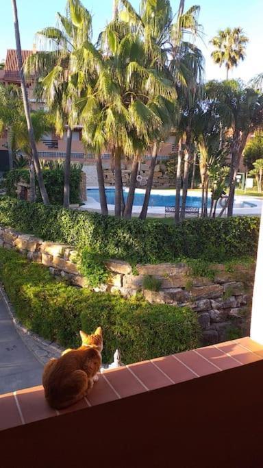 Apartment Planta Baja Cerca De La Playa Costa Casares